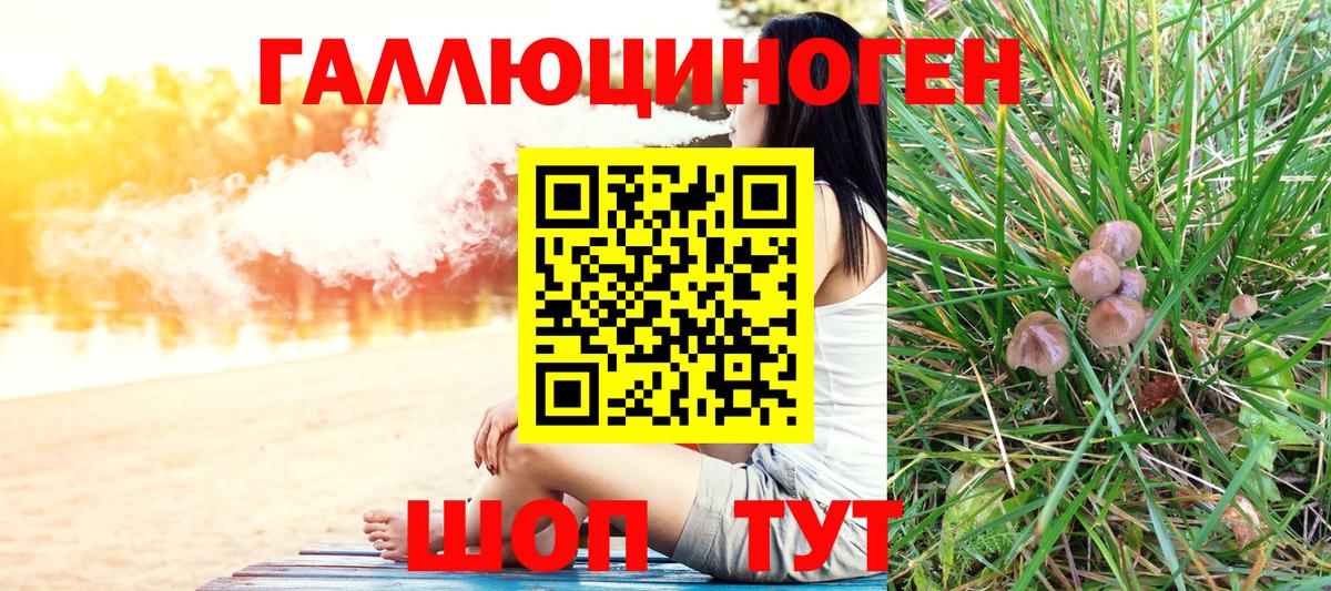 Галлюциногенные грибы MAGIC MUSHROOMS  Вход с VPN  Ростов Великий 